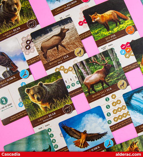 Cascadia board game box and components